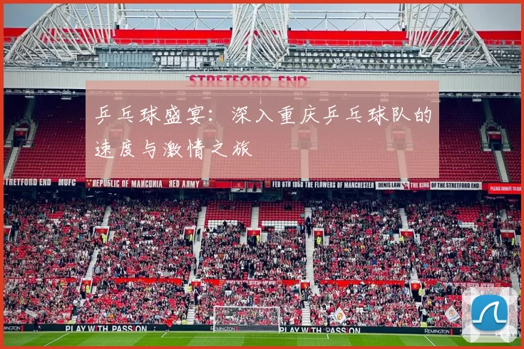 乒乓球盛宴：深入重庆乒乓球队的速度与激情之旅