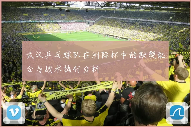 武汉乒乓球队在洲际杯中的默契配合与战术执行分析