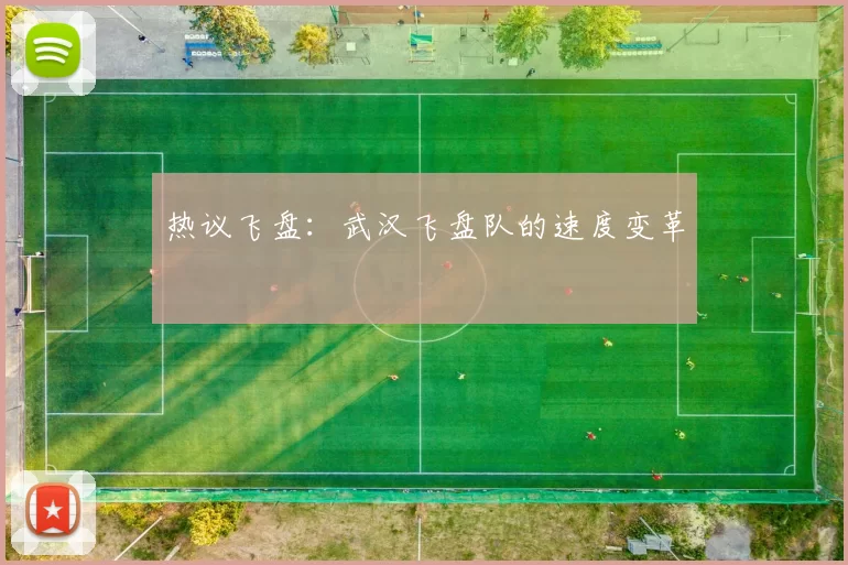 热议飞盘：武汉飞盘队的速度变革