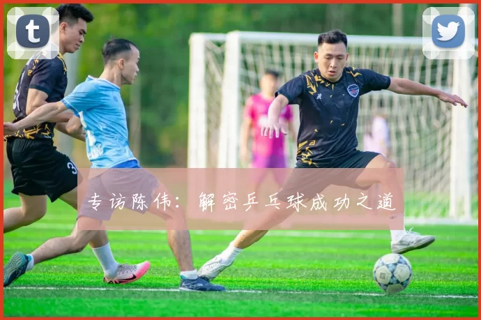 专访陈伟：解密乒乓球成功之道