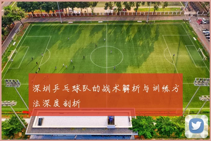 深圳乒乓球队的战术解析与训练方法深度剖析