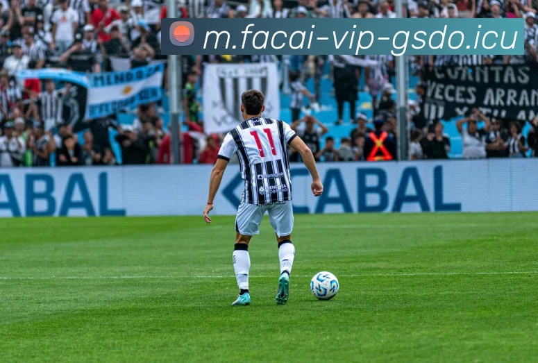 华体会体育平台生态图