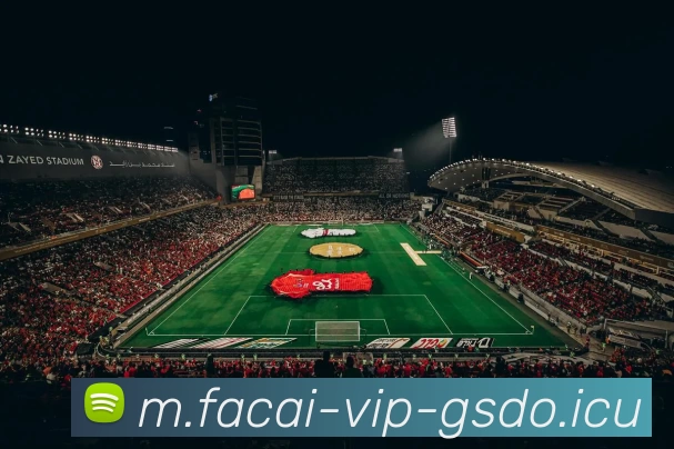 华体会体育APP 封面图